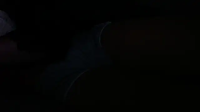 Chat +18 de Ann_D ao vivo