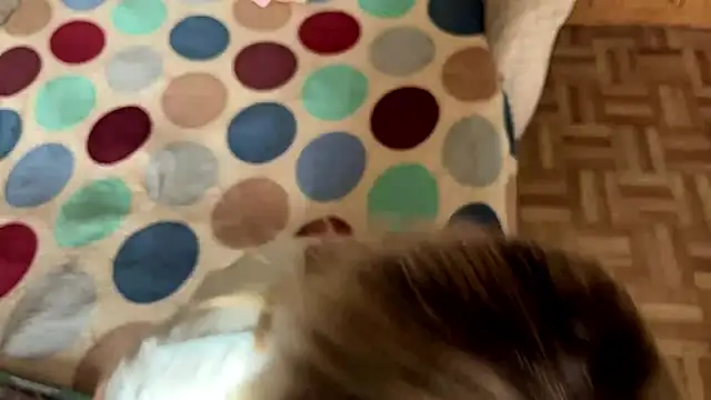 AlisiaStreitmatter's Live XXX Chat