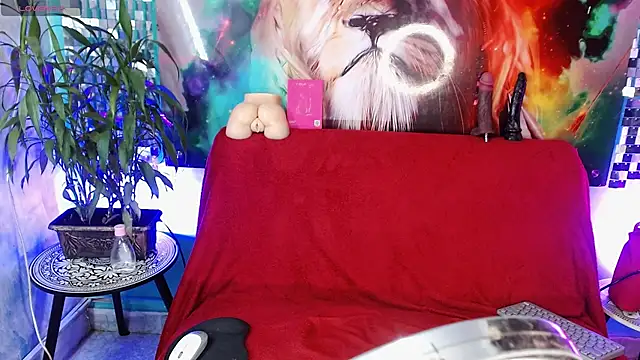 Chat XXX en directo de ZAMMIRA