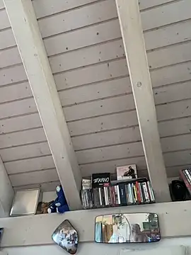 wankcellar Webcam Show