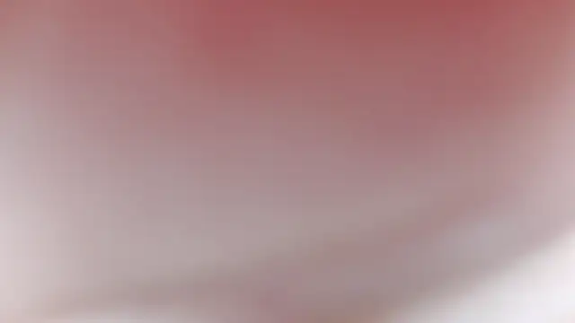 saki_yyy 现场聊天室