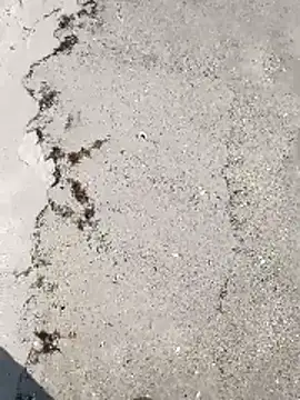 Živý XXX chat sarahkat86