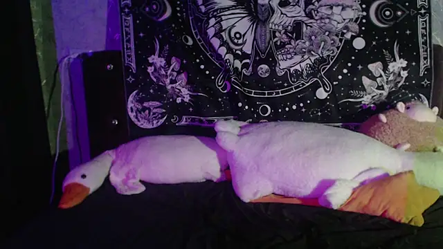 little_chappy's Live XXX Chat