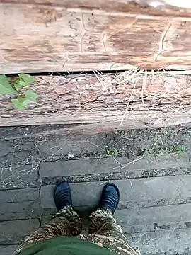 vladyslav18_ 现场聊天室
