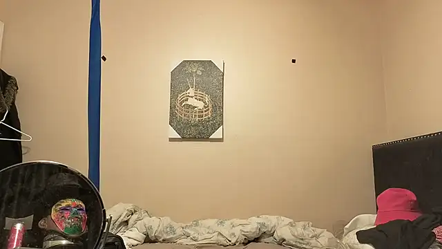 hailzeffn's Webcam Show