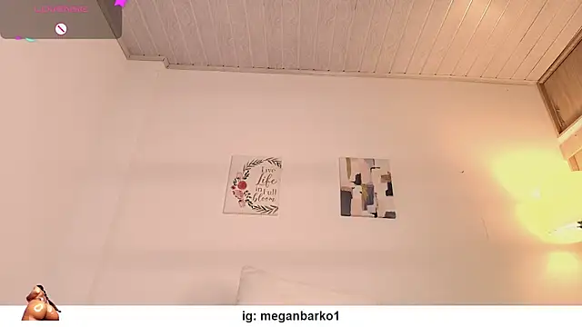 Meganbarko1 라이브 XXX 채팅