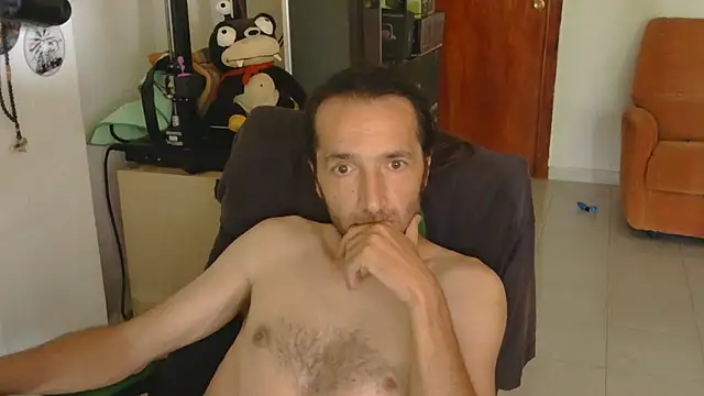 Czat XXX na żywo – softail85