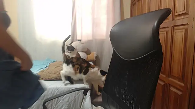 Venus_cat_'s Live XXX Chat