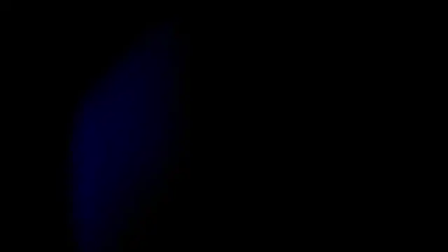 real_ci45 লাইভ XXX চ্যাট