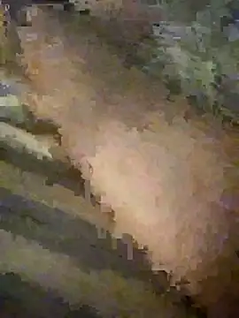 randysex188188 网络视讯表演