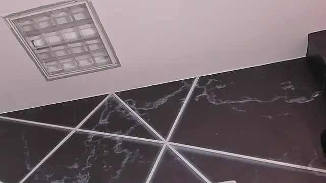 AerumChae Adlı Modelin Canlı XXX Sohbeti
