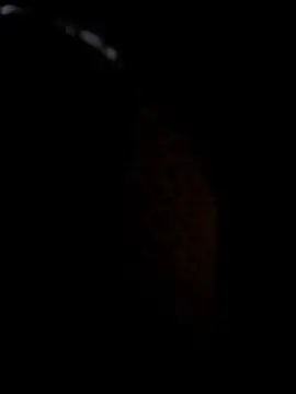 צ'אט XXX בשידור חי של ovar12