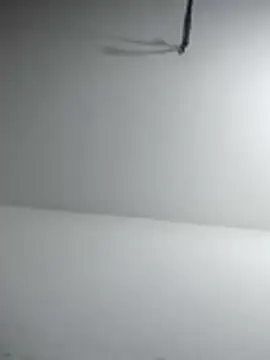MSCC0n Live XXX chat