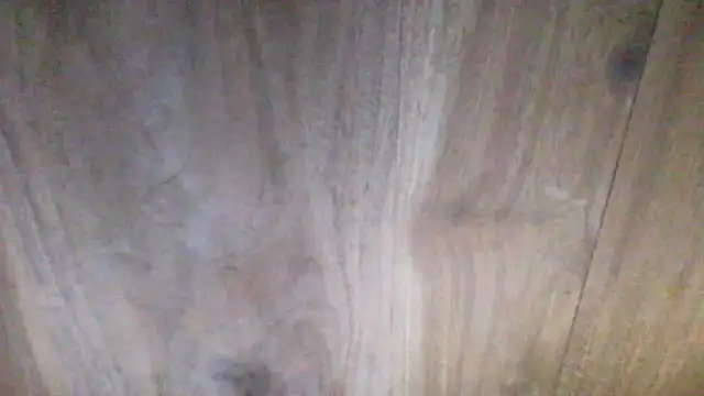 Chat XXX ao vivo de centjjoseph