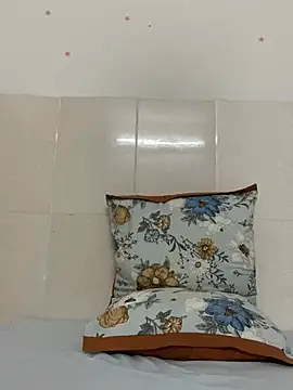 Mr_iphone11 Show in webcam