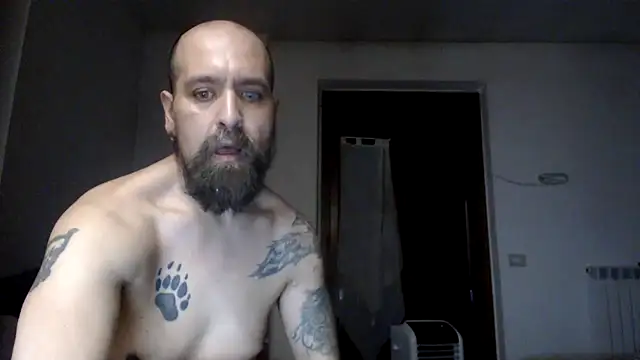 AMIRDIB2025 라이브 XXX 채팅