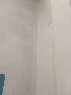 Lareynazendeyastar 现场聊天室
