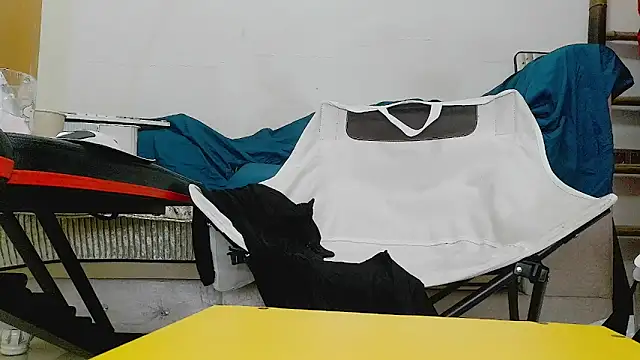 ShuaiCH's Live XXX Chat
