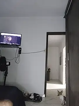 Chat +18 de Gasc_1992 ao vivo
