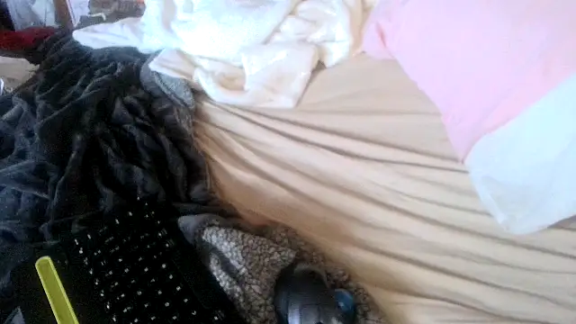 Teddy4420 라이브 XXX 채팅