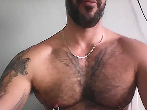 Chat +18 de mrbighairychest ao vivo