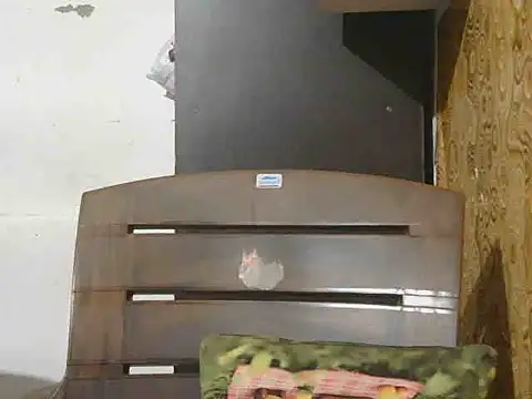 Fuckpussylickass – Naživo XXX chat