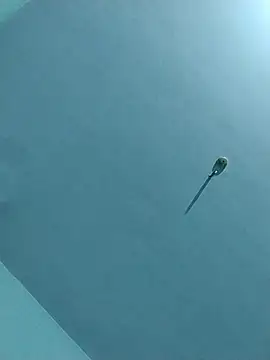 عرض كام daddys_small_dick