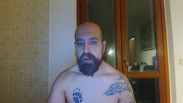 AMIRDIB2025 Webcam show