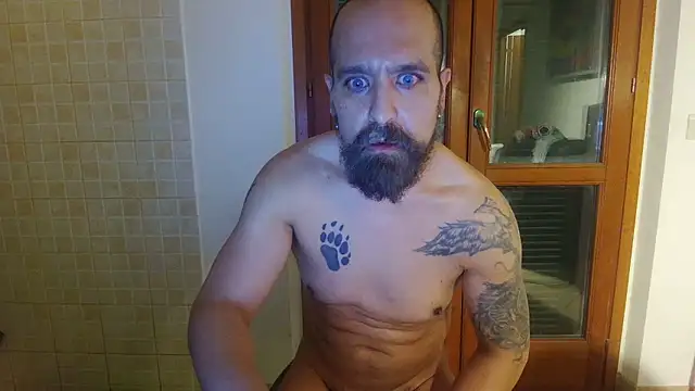 AMIRDIB2025 Chat XXX live