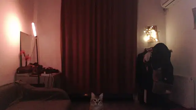 welliza élő XXX-chatje