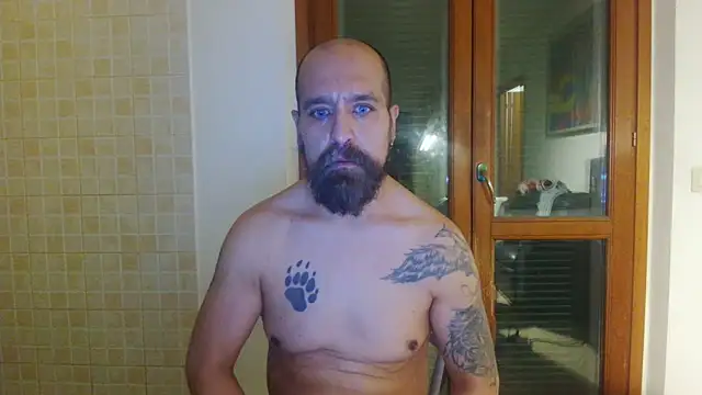 AMIRDIB2025's Live XXX Chat
