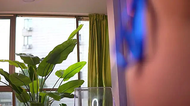 Ava_Solis 现场XXX聊天