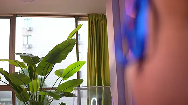 Chat XXX ao vivo de Ava_Solis