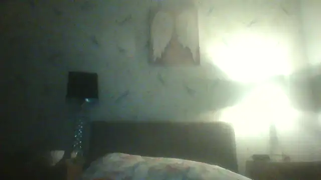 EngagingBench23 Webcam-Show