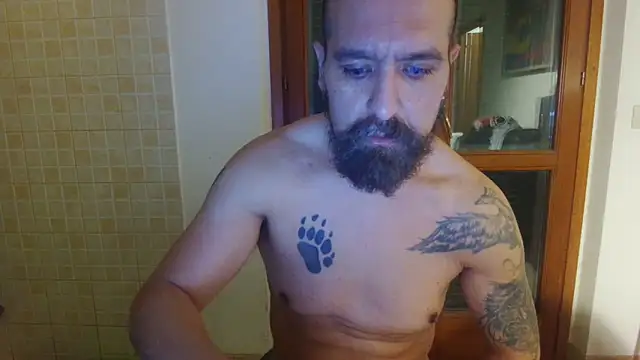 Czat XXX na żywo – AMIRDIB2025