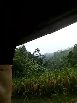 Funsexy1 现场XXX聊天