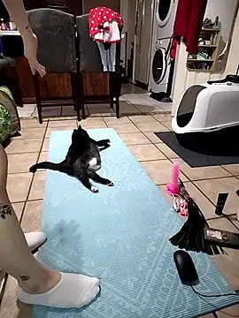 LaylaLucis: απευθείας συνομιλία ΧΧΧ