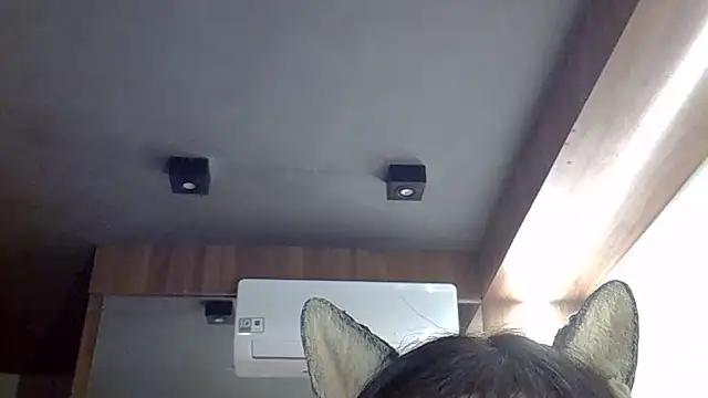 SkinnyKitten's Webcam Show