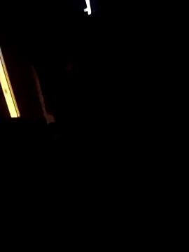 AceticPinscher 网络视讯表演