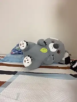 wwang_0604 网络视讯表演