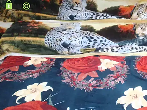 Queen_Sarah Adlı Modelin Canlı XXX Sohbeti