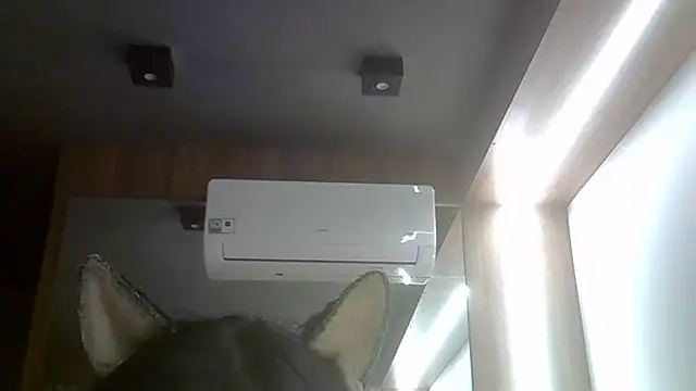 Show de webcam de SkinnyKitten