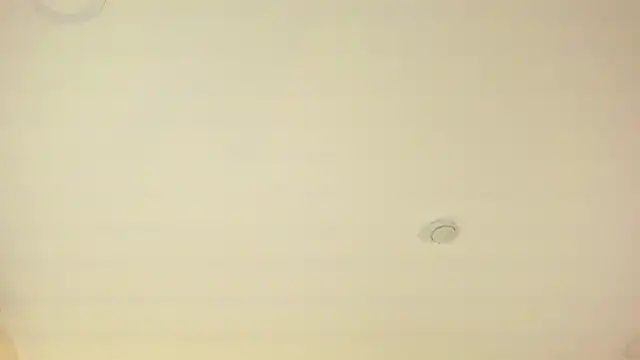 GraceCartier live XXX chat