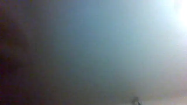 RexMinnie live XXX chat