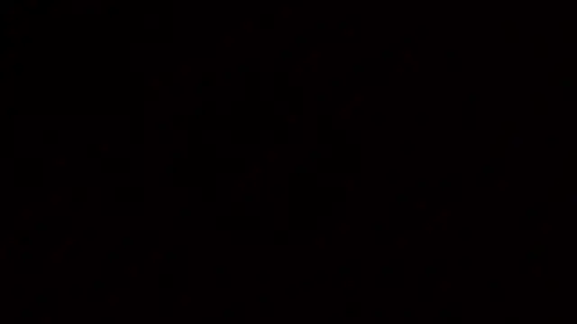 הופעת וובקאם של raven_n_matt