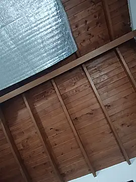 SilvaBranko Obrolan Langsung XXX