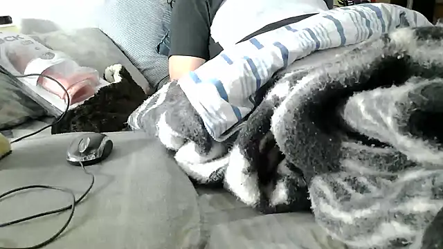 messi_syssy Chat XXX live