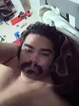 Brickstash Show in webcam