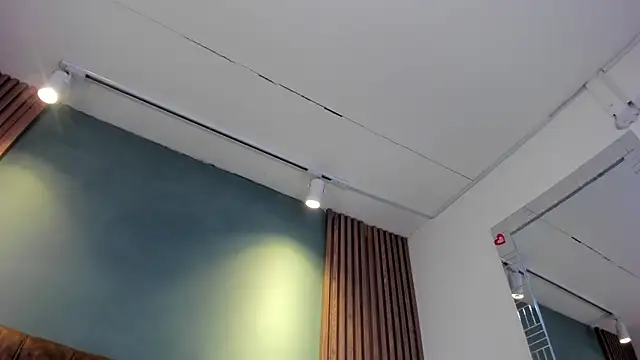 HannaWen_ 라이브 XXX 채팅