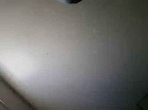 baraba1992 Live XXX-chat